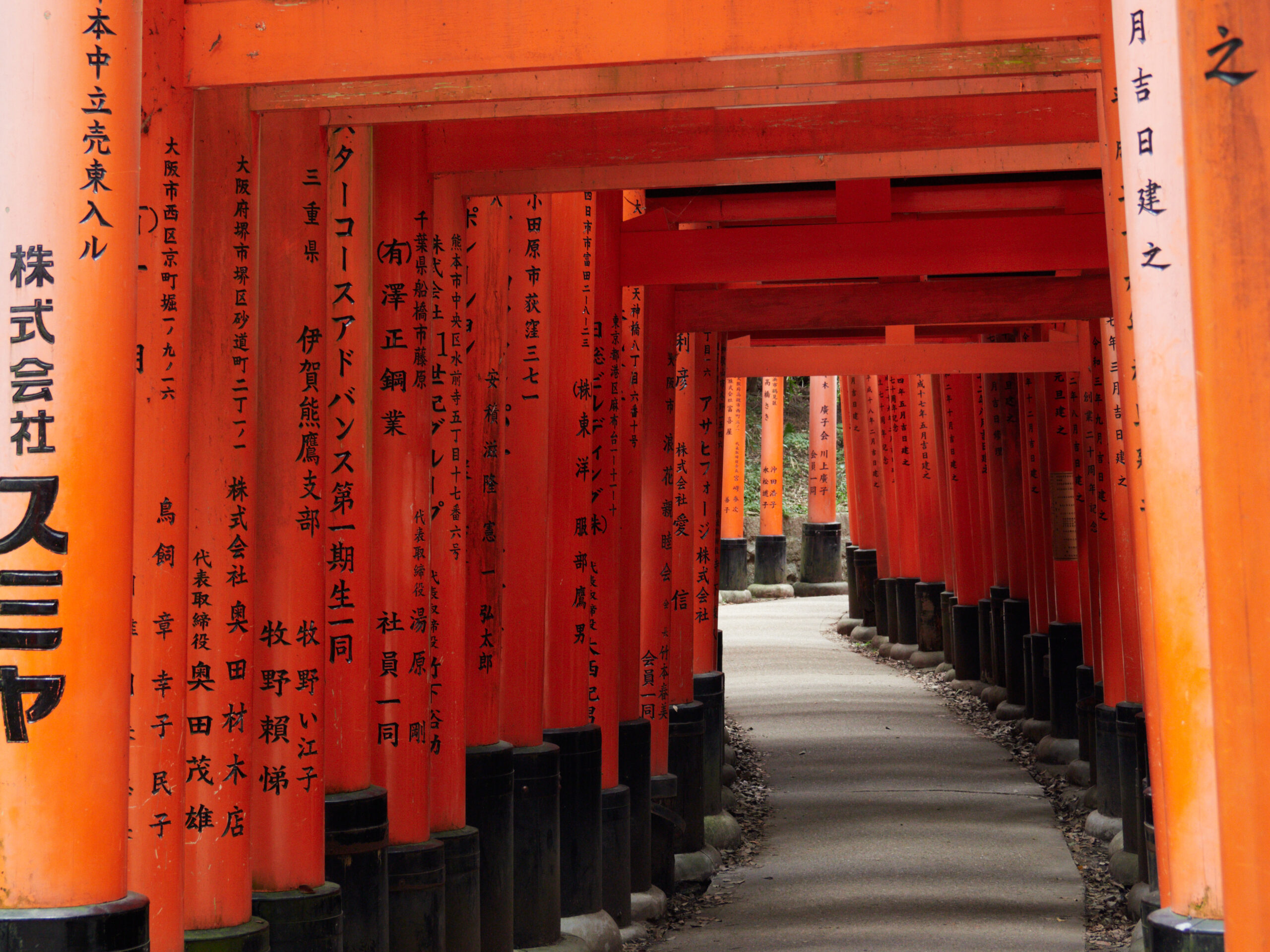 Vermilion torii gates at Fushimi Inari Shrine, Kyoto