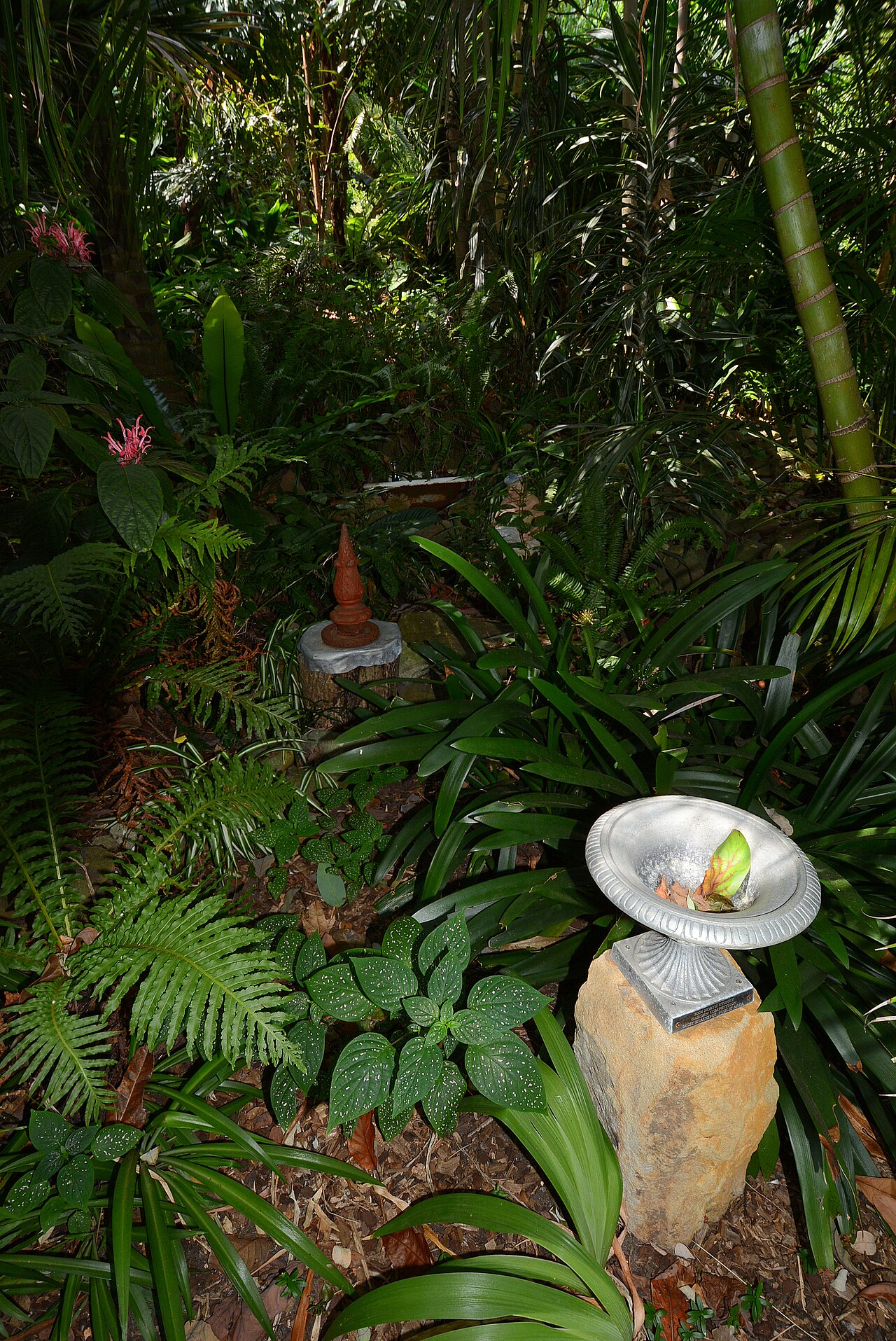 Lush ferns, bamboo and a stone birdbath inside Wendy Whiteley's Secret Garden in Lavender Bay, Sydney