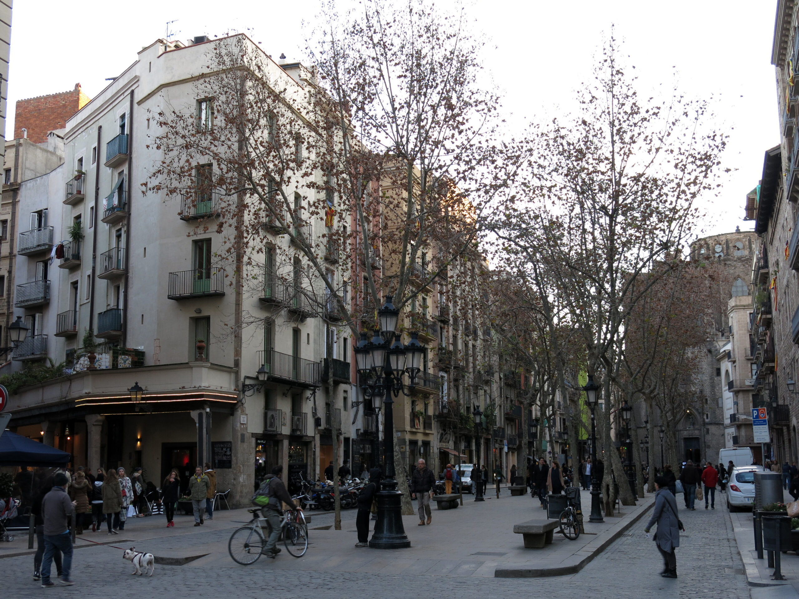 Passeig del Born, the lively boulevard at the heart of El Born.