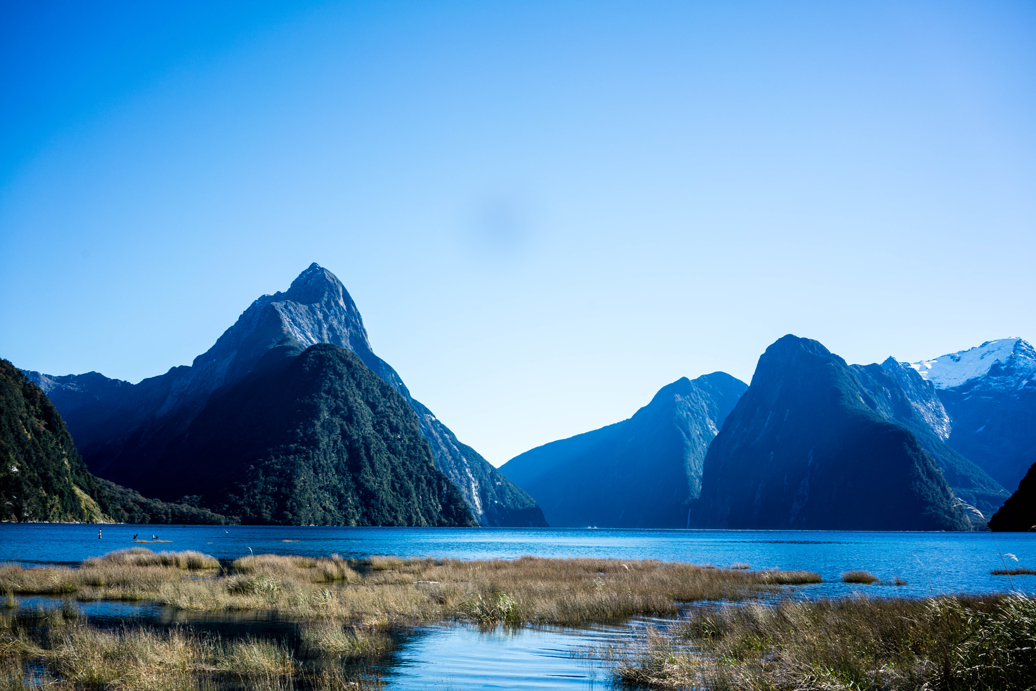 Mitre Peak rising 1692 metres above the still waters of Milford Sound, New Zealand