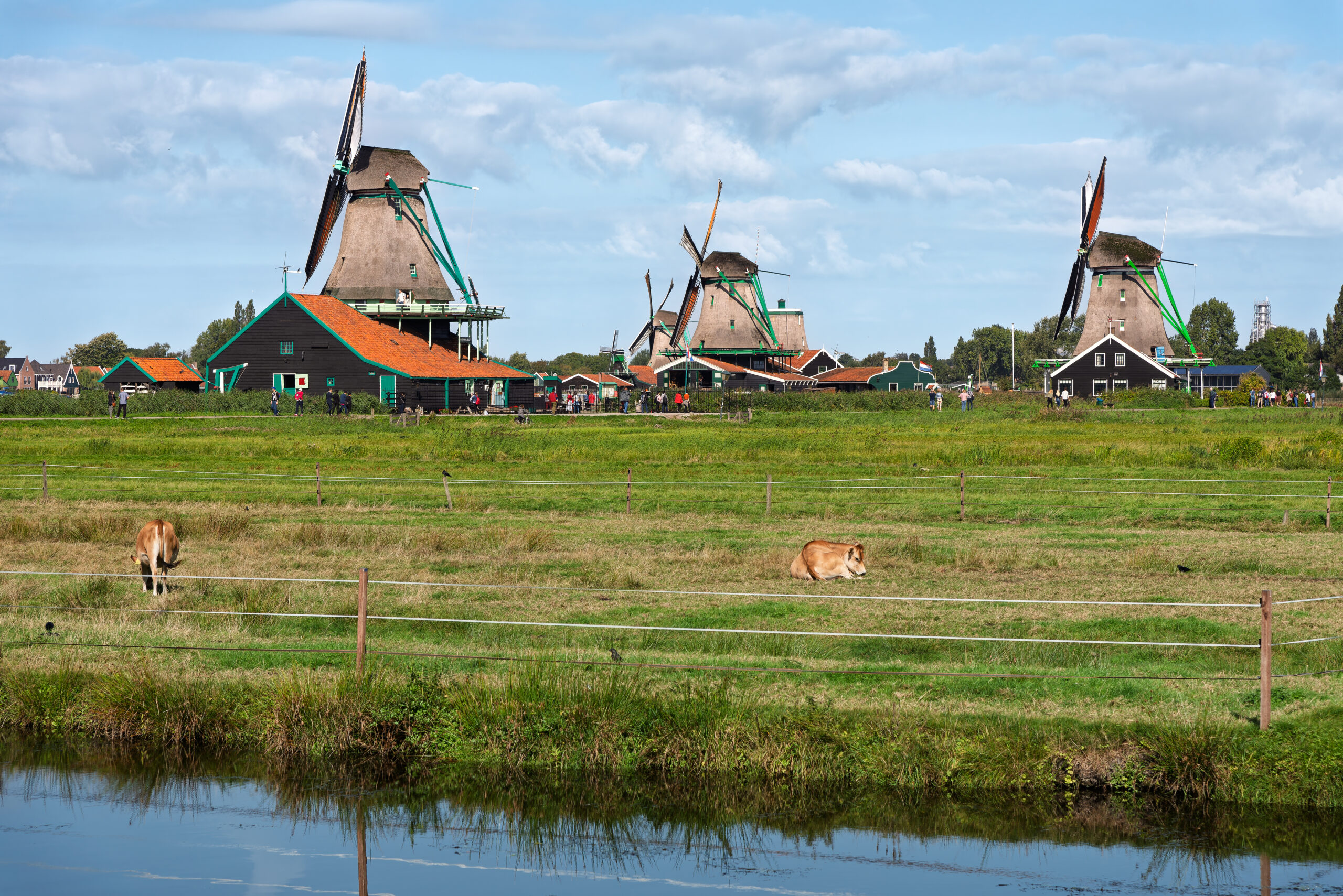 Zaanse Schans windmills Netherlands