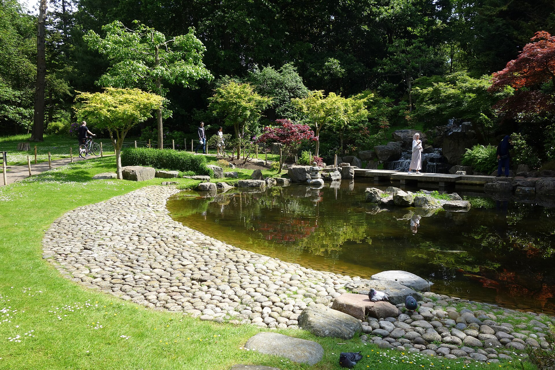 Kyoto Garden koi pond in Holland Park, London