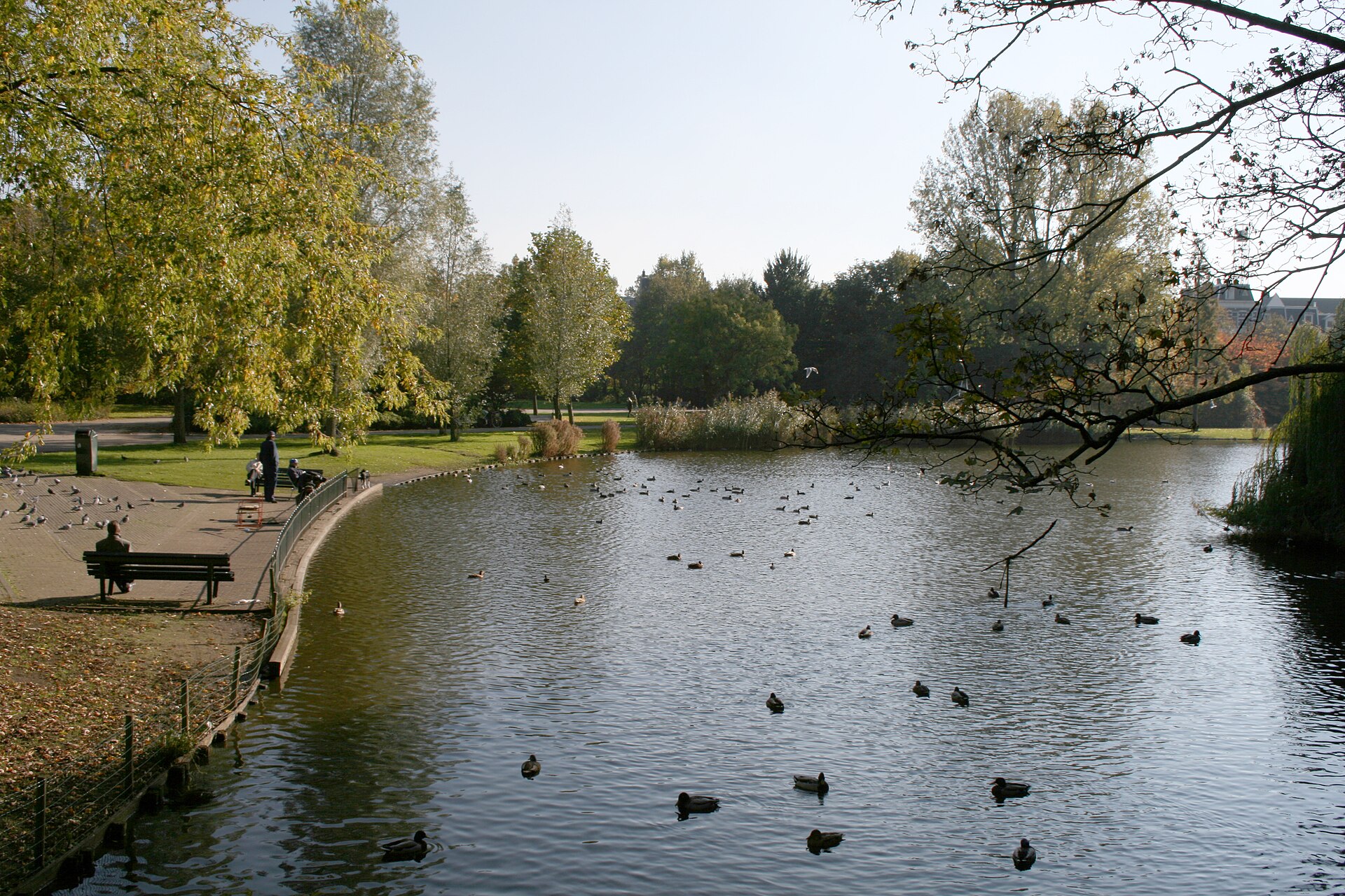 Where to stay in Amsterdam East: Oosterpark pond with ducks