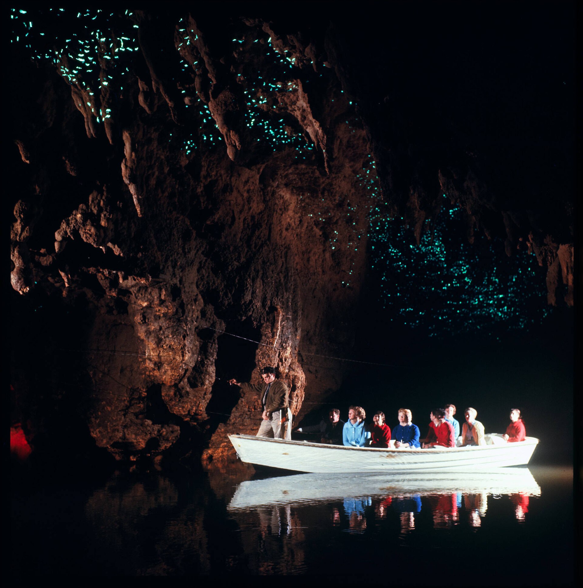 Glowworm Grotto at Waitomo Caves