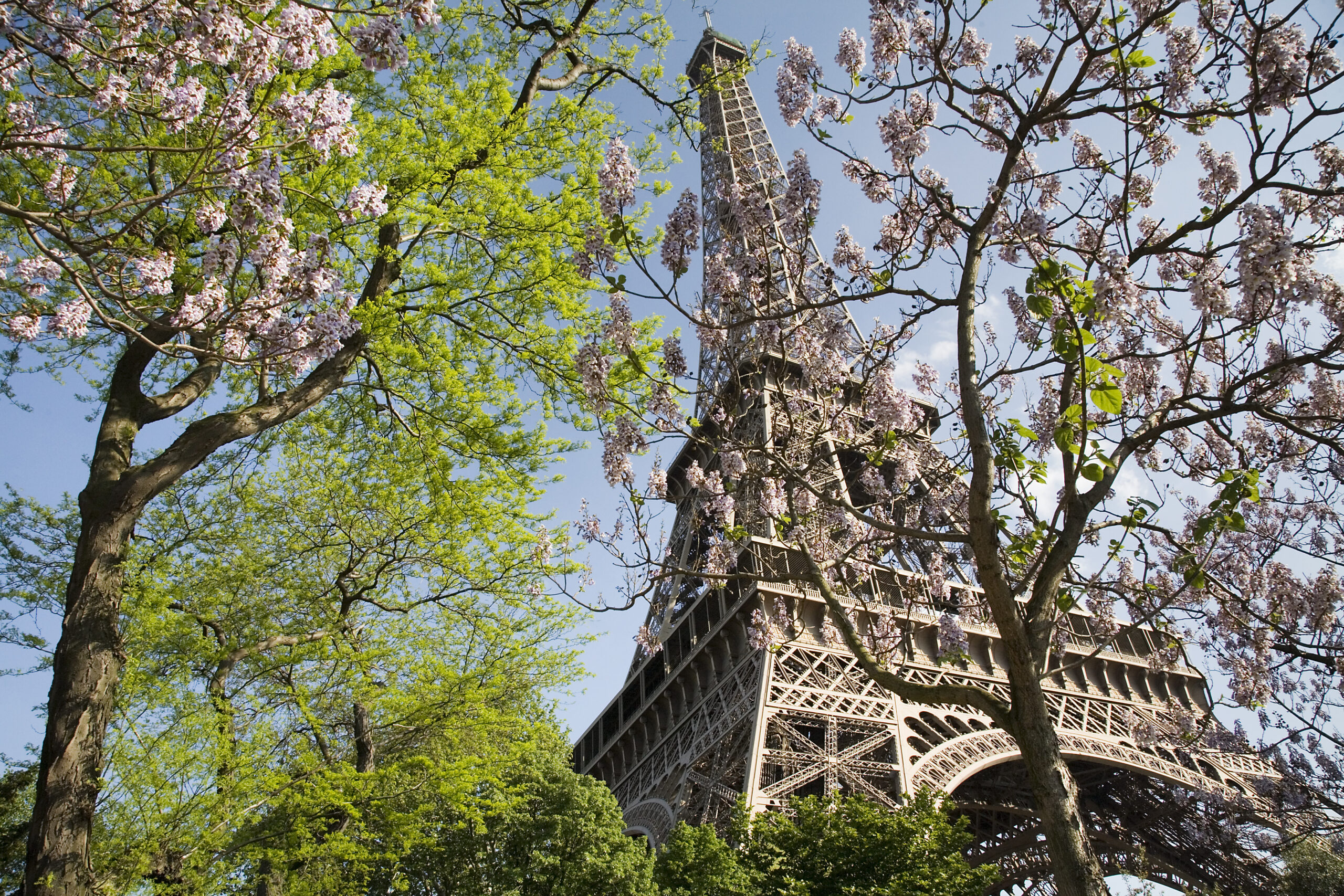 Eiffel Tower Paris daytime with blue sky