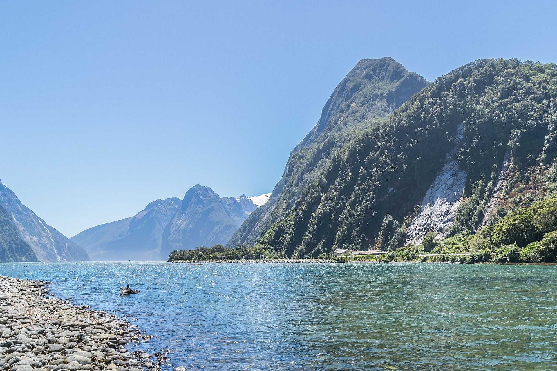 Milford Sound in Fiordland National Park with steep fiord walls and calm water