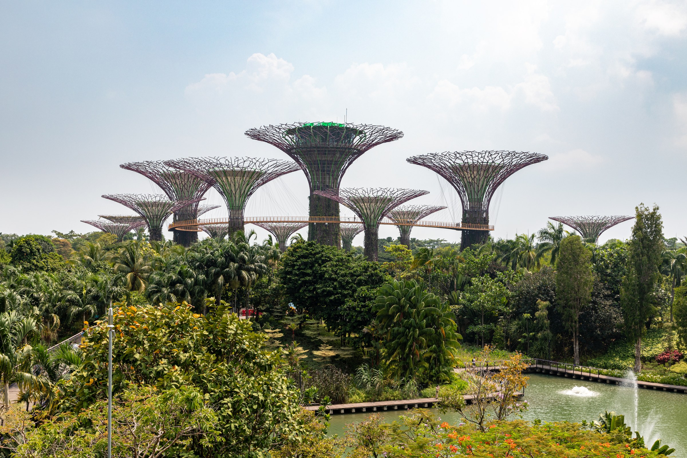 Supertree Grove at Gardens by the Bay Singapore with elevated OCBC Skyway walkway