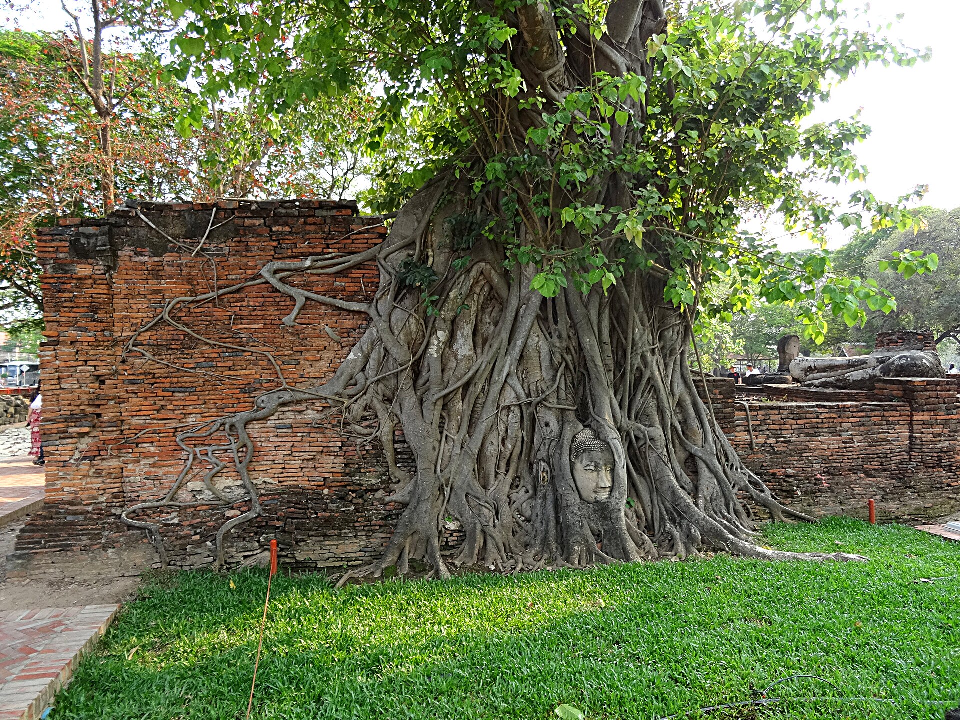 Ruins of Wat Mahathat temple in Ayutthaya, Thailand