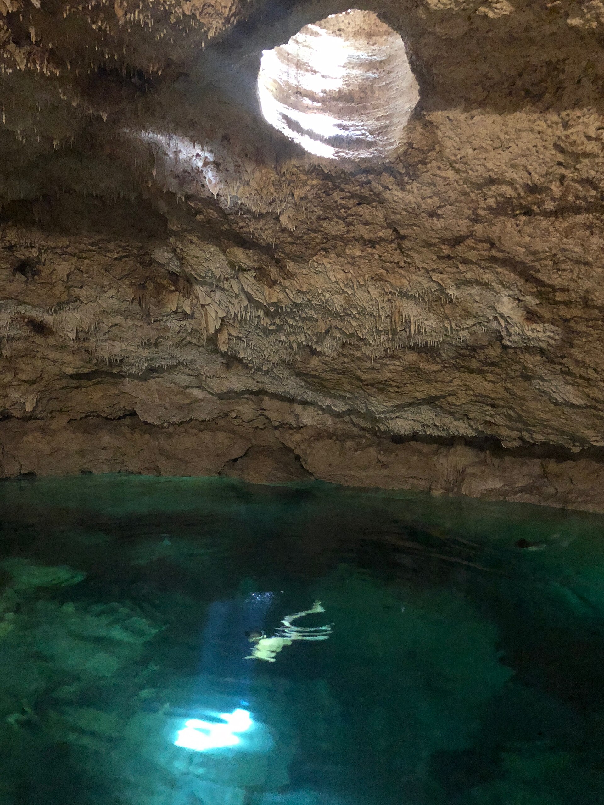 Swimming in a Yucatan cenote