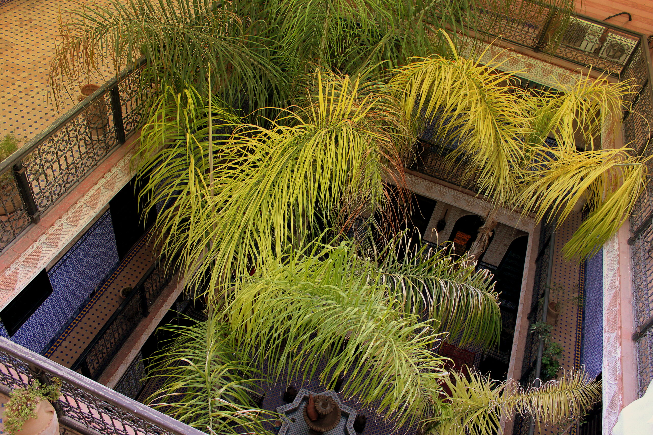 A palm-filled riad courtyard with a central fountain and zellige tiling in Marrakech.