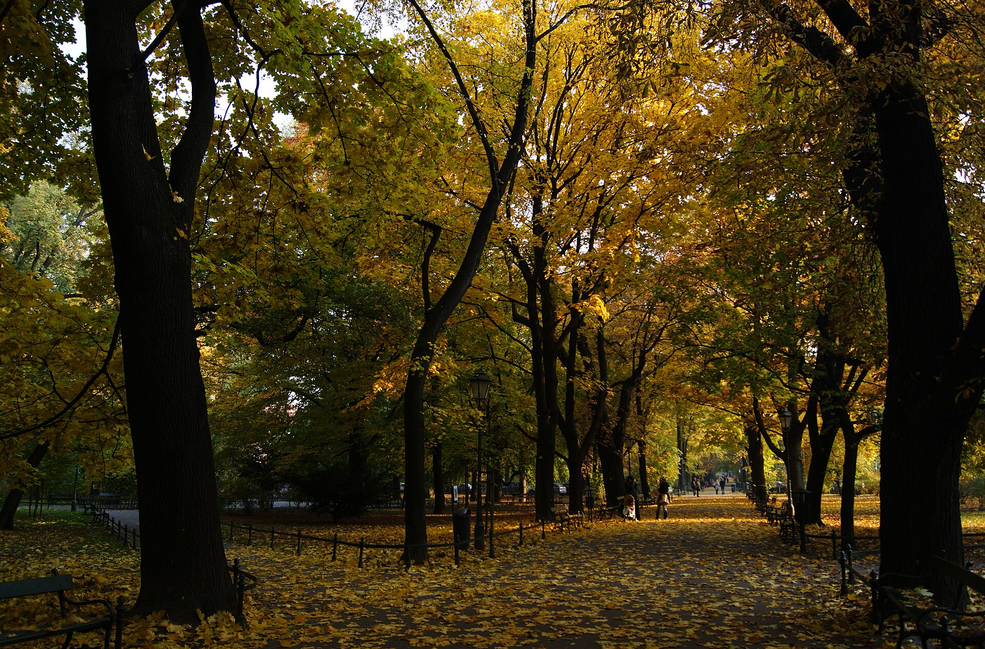 Tree-lined path in the Planty park ring encircling Krakow's Old Town