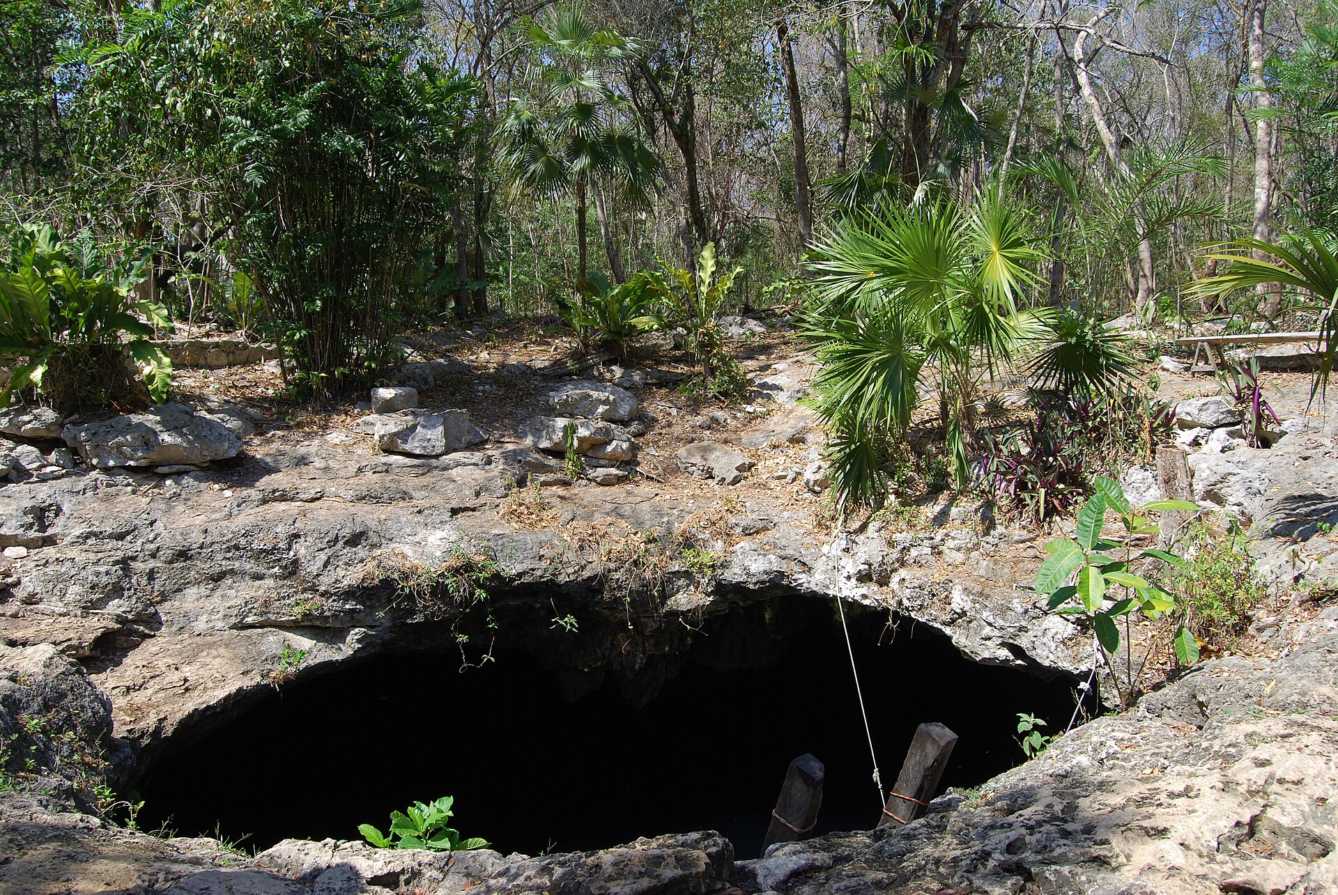 Cenote Calavera near Tulum, swimmer beneath the cavern roof holes