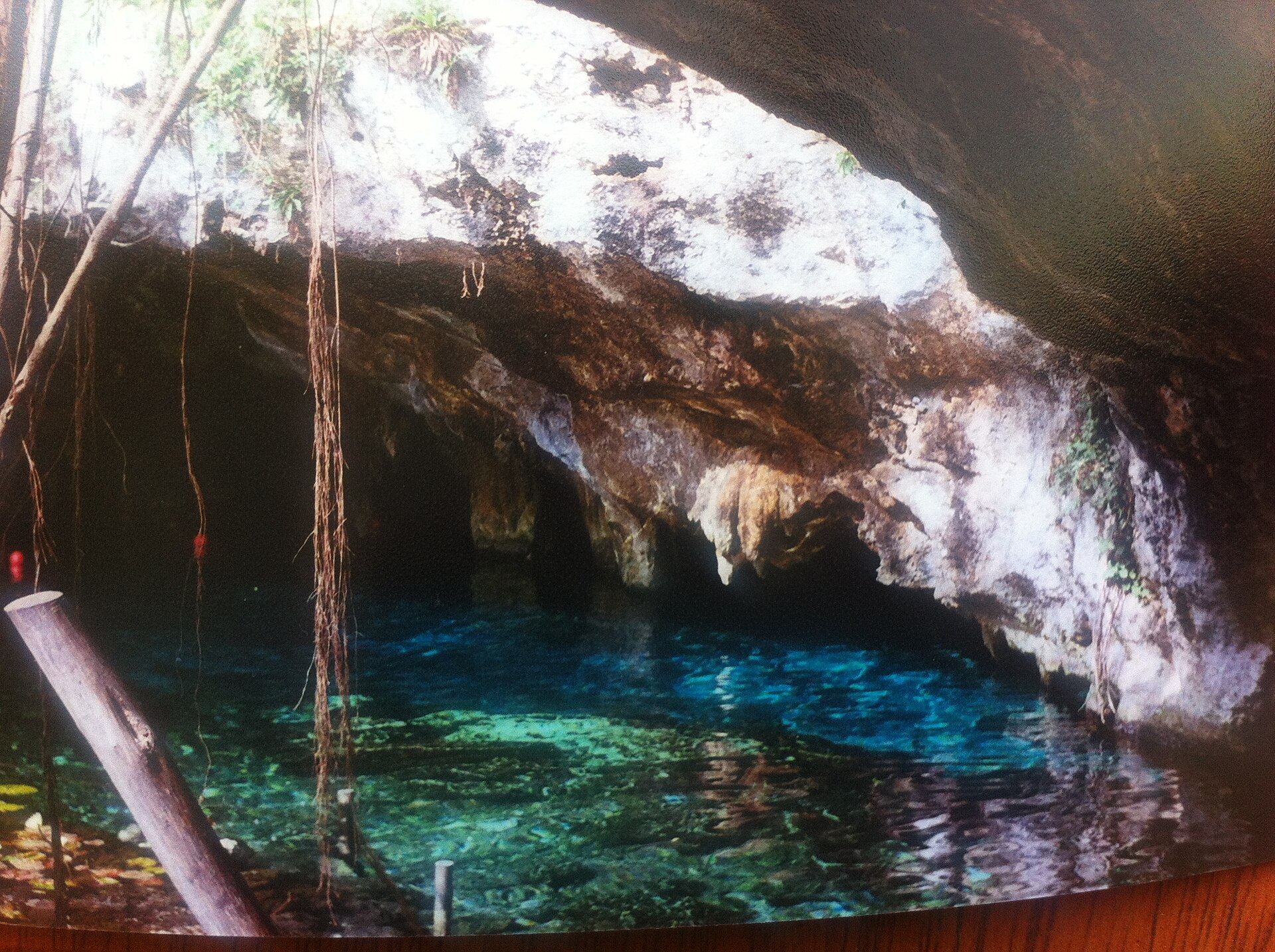 Gran Cenote near Tulum