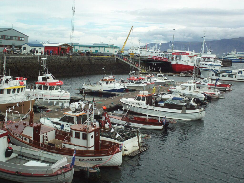 Fishing boats in Reykjavik Old Harbour