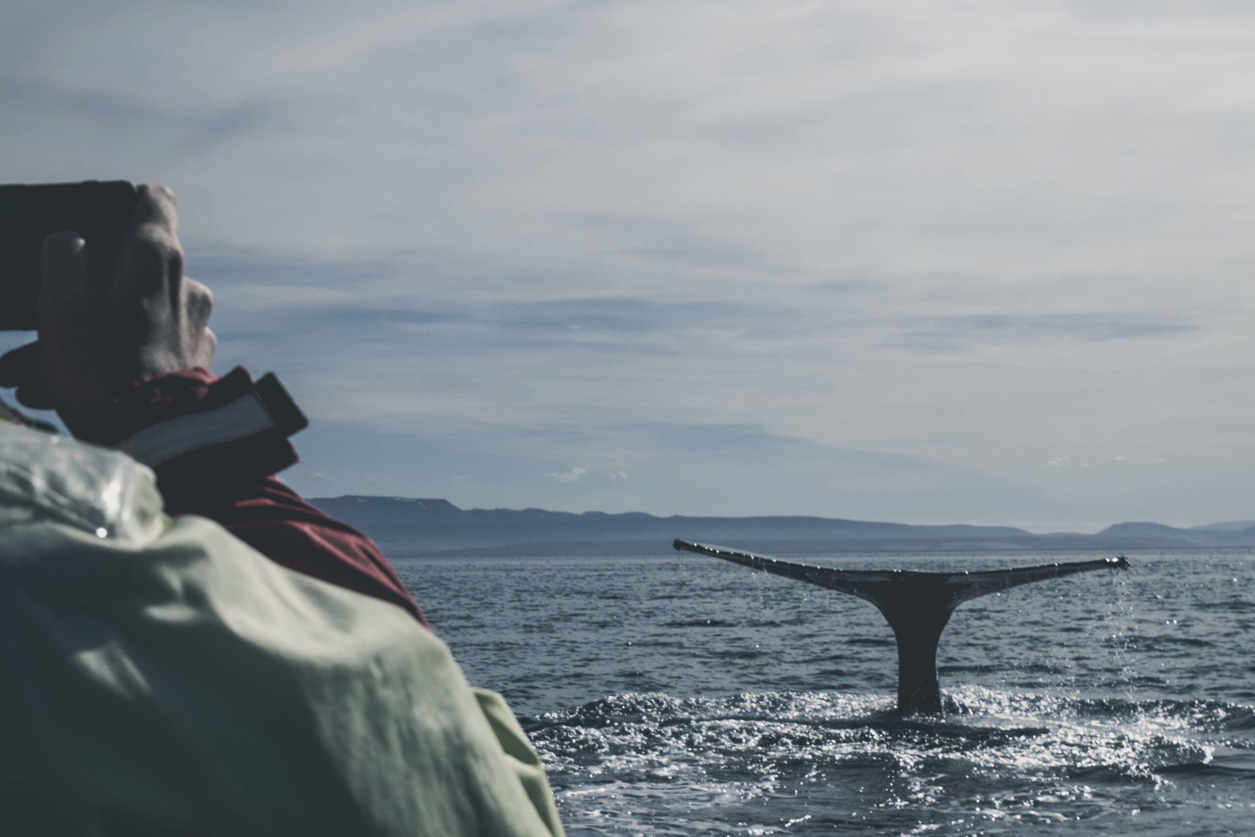 Whale watching boats in Húsavík harbor Iceland