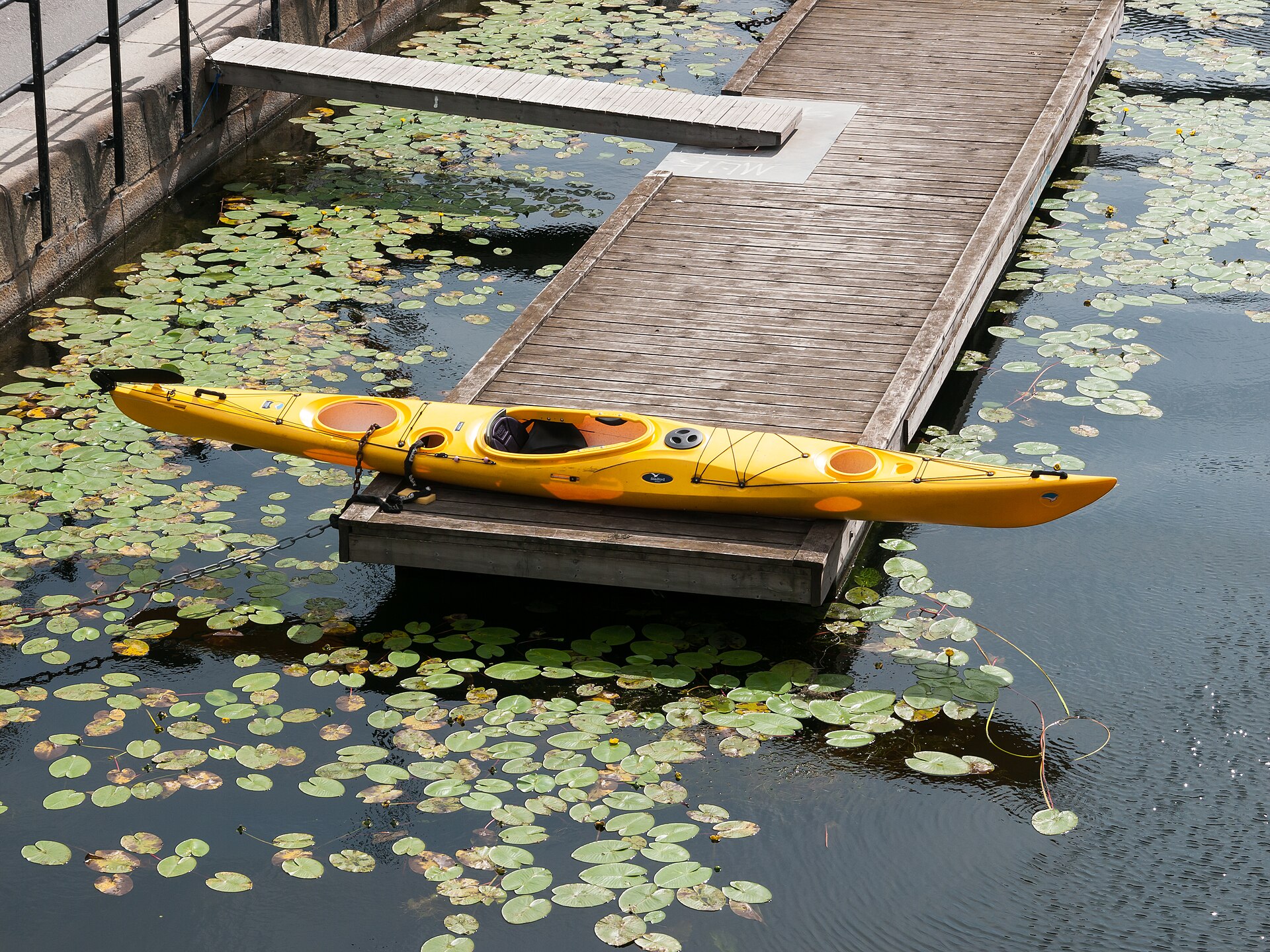 A kayaker paddling on Stockholm's calm inner waterways