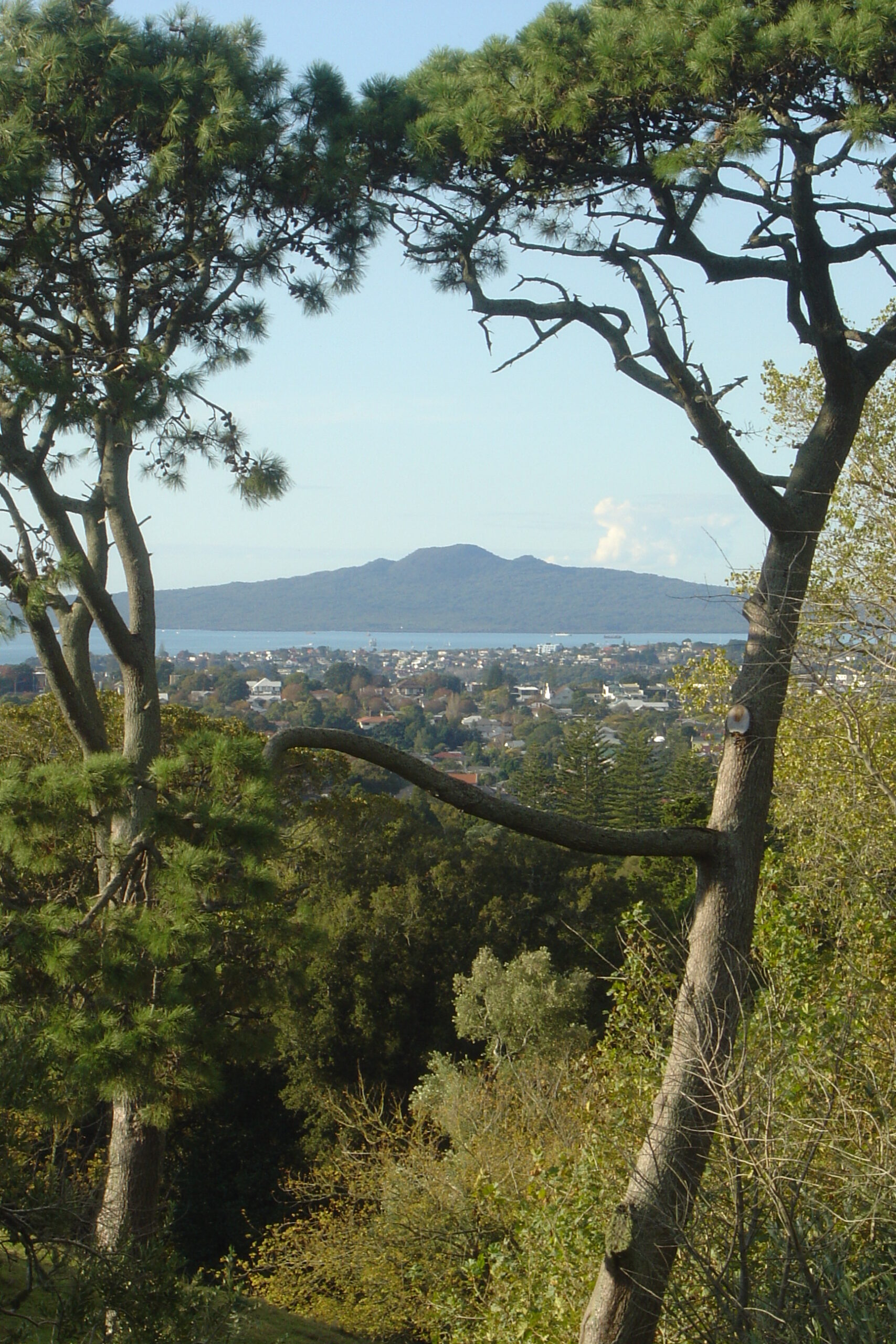 Rangitoto Island's volcanic cone rising over the Hauraki Gulf
