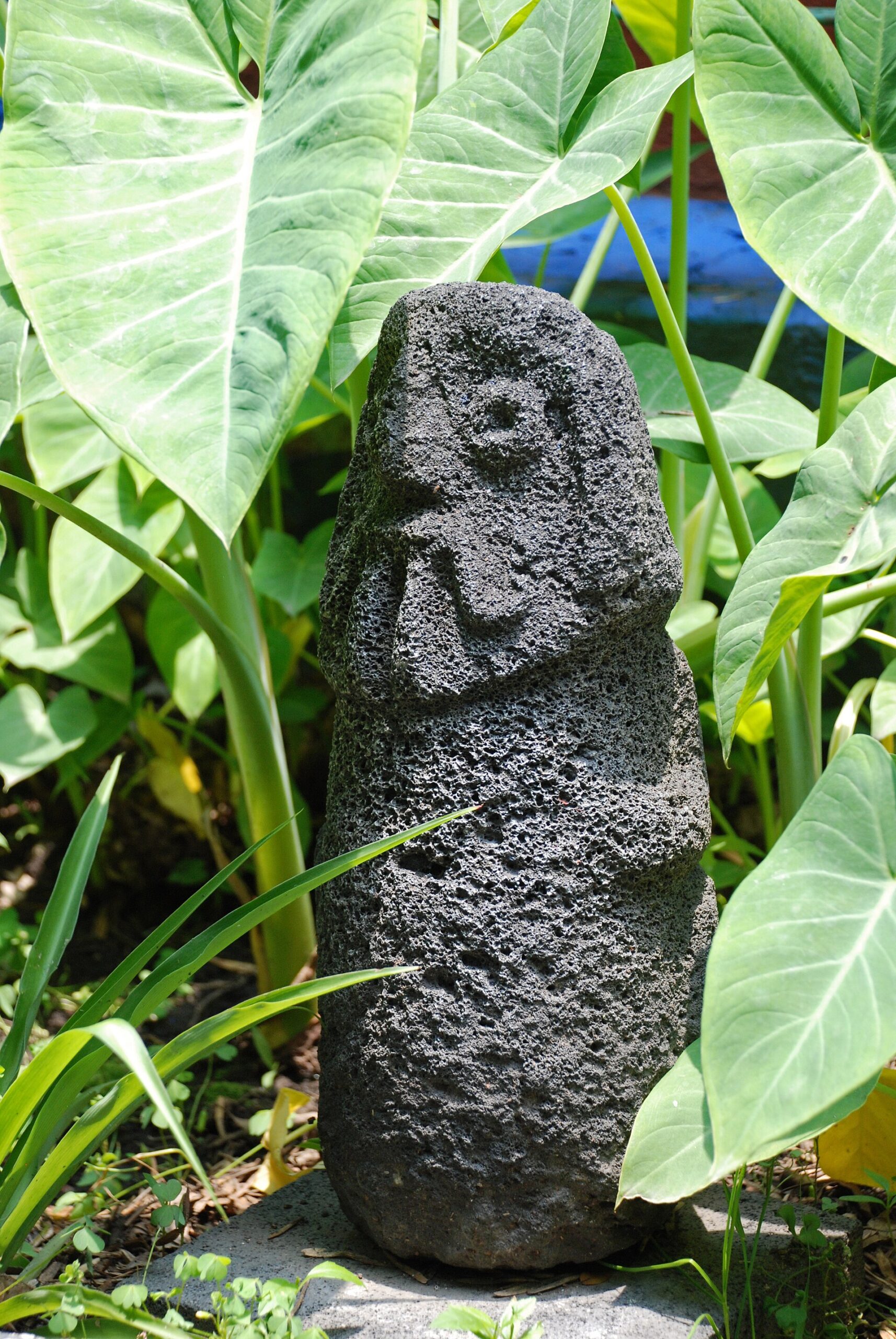 La Casa Azul, the Frida Kahlo Museum in Coyoacan