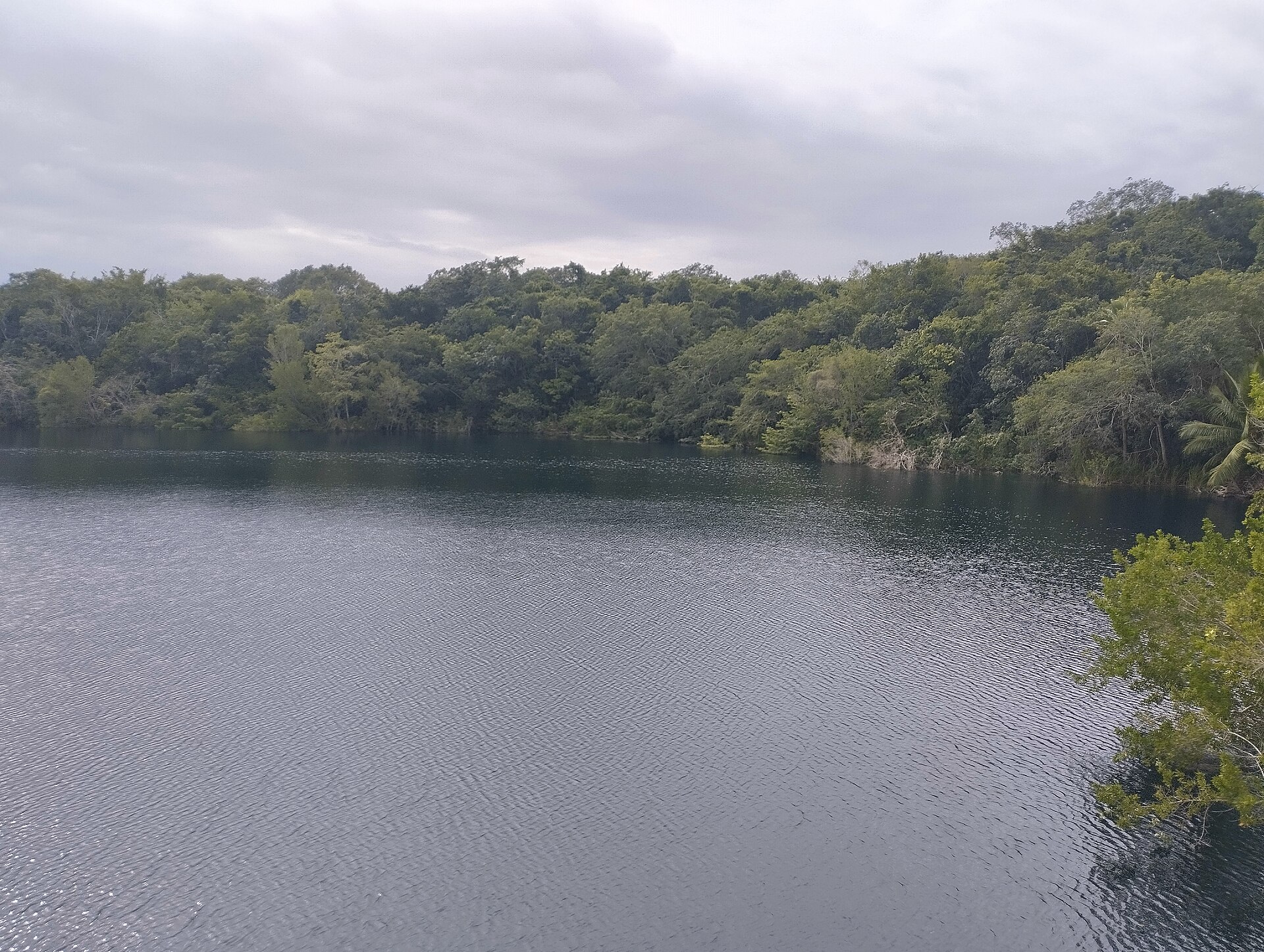 Cenote Azul, one of the open cenotes near Playa del Carmen