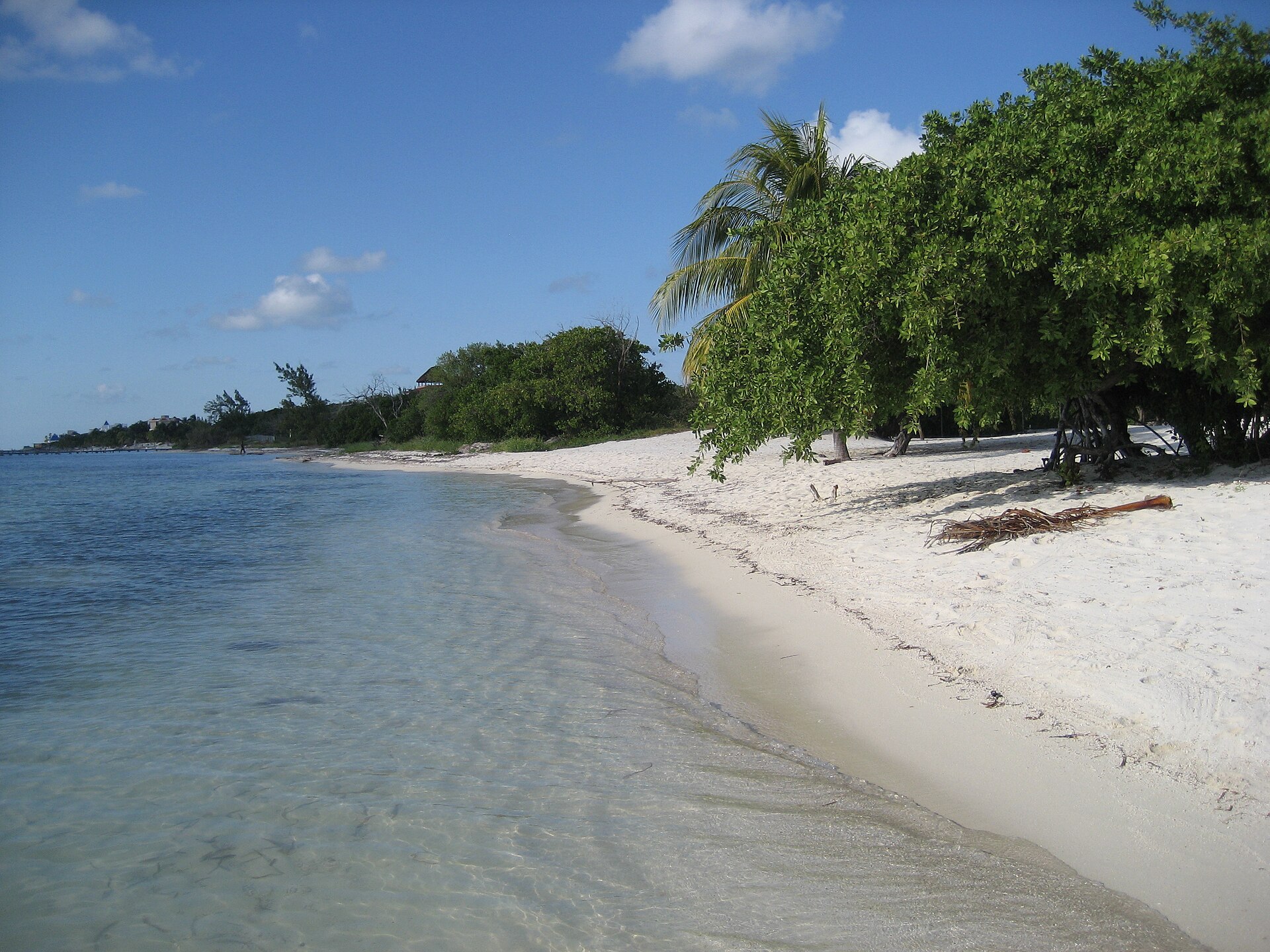 Turquoise beach on Isla Mujeres