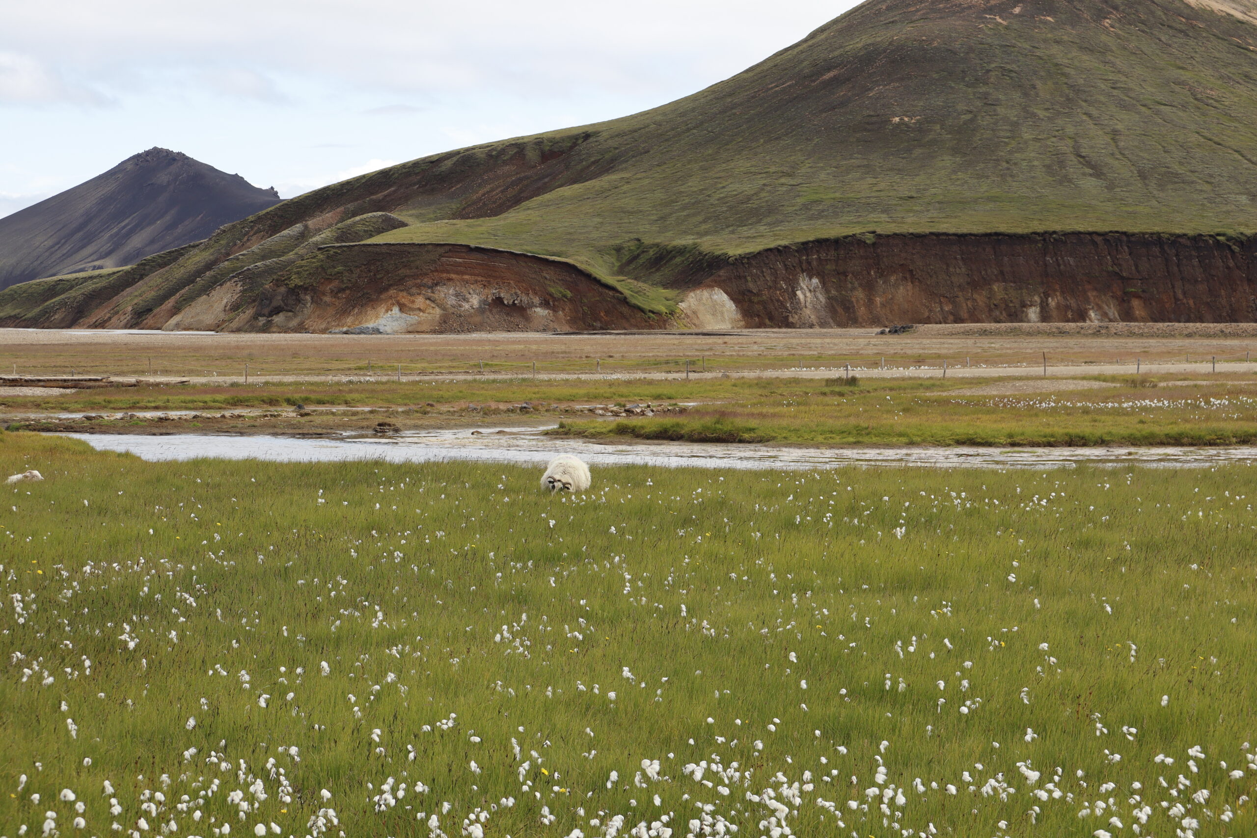 Colorful rhyolite mountains at Landmannalaugar in the Iceland highlands