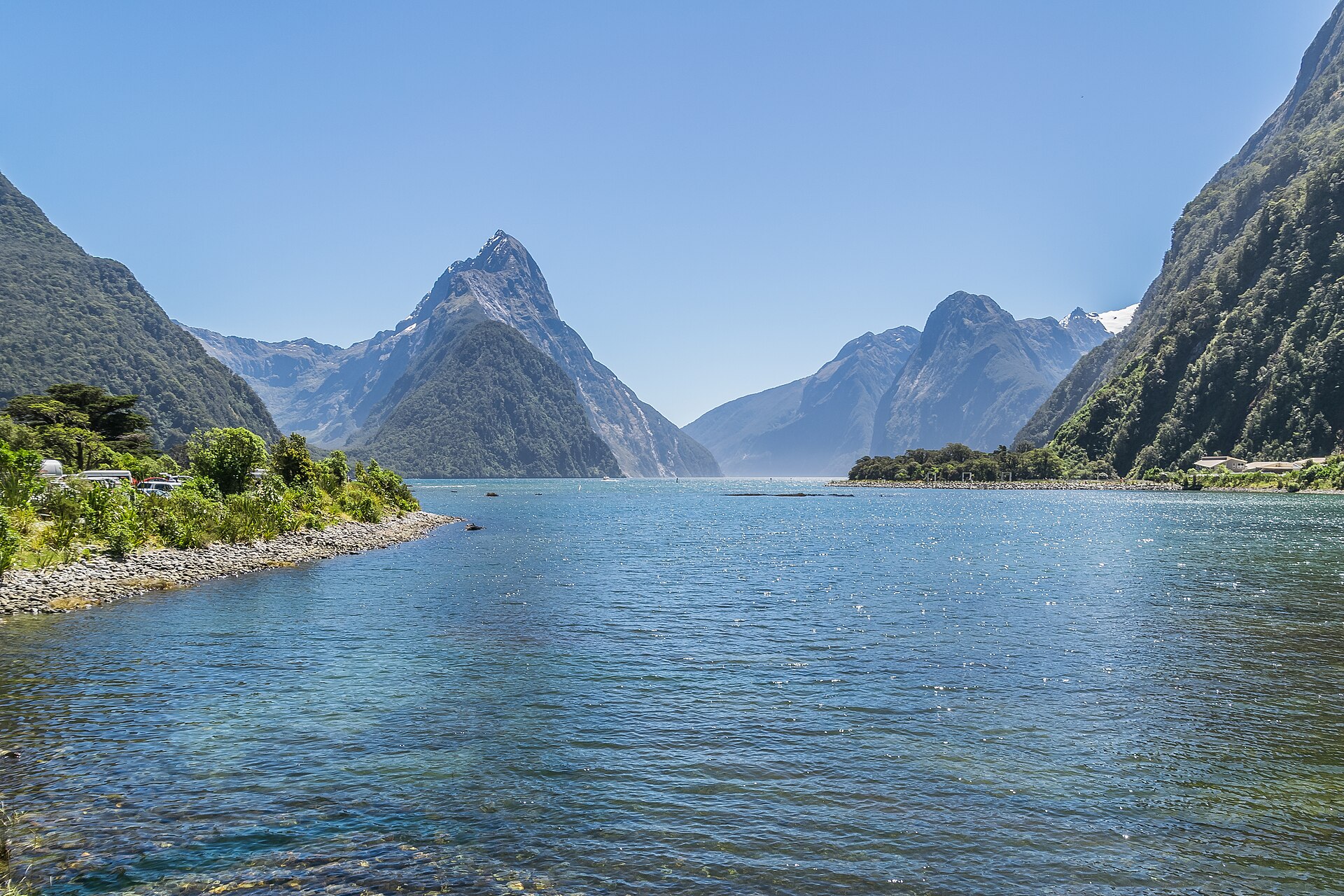 Milford Sound in Fiordland National Park under steep green cliffs