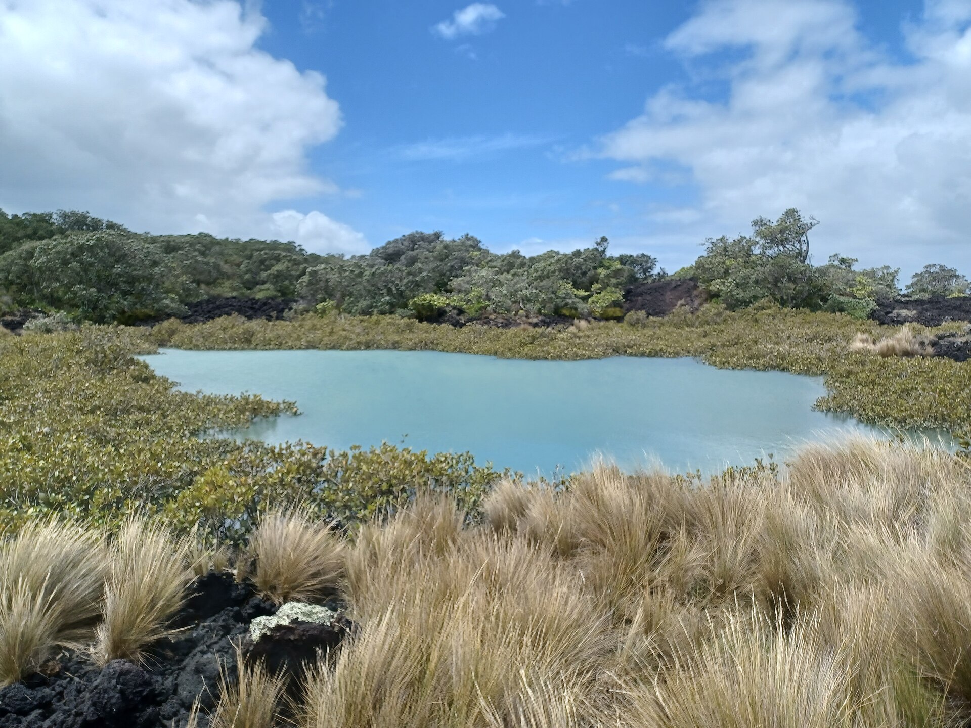 Rangitoto Island's volcanic cone rising over the Hauraki Gulf