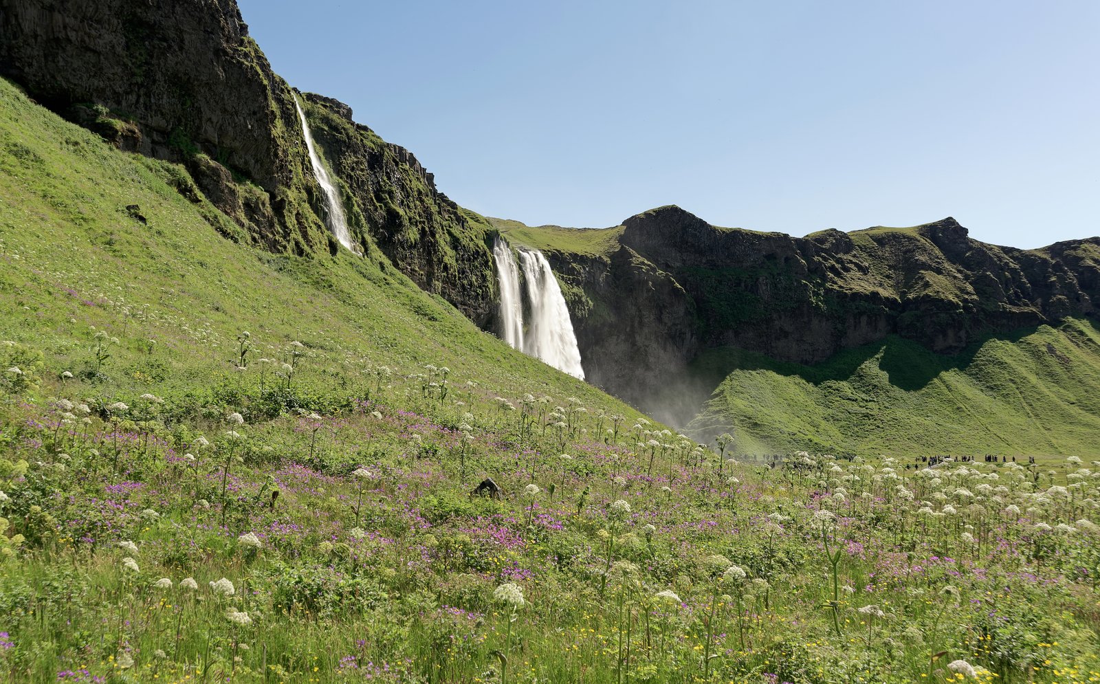 Seljalandsfoss waterfall cascading over green cliffs in summer