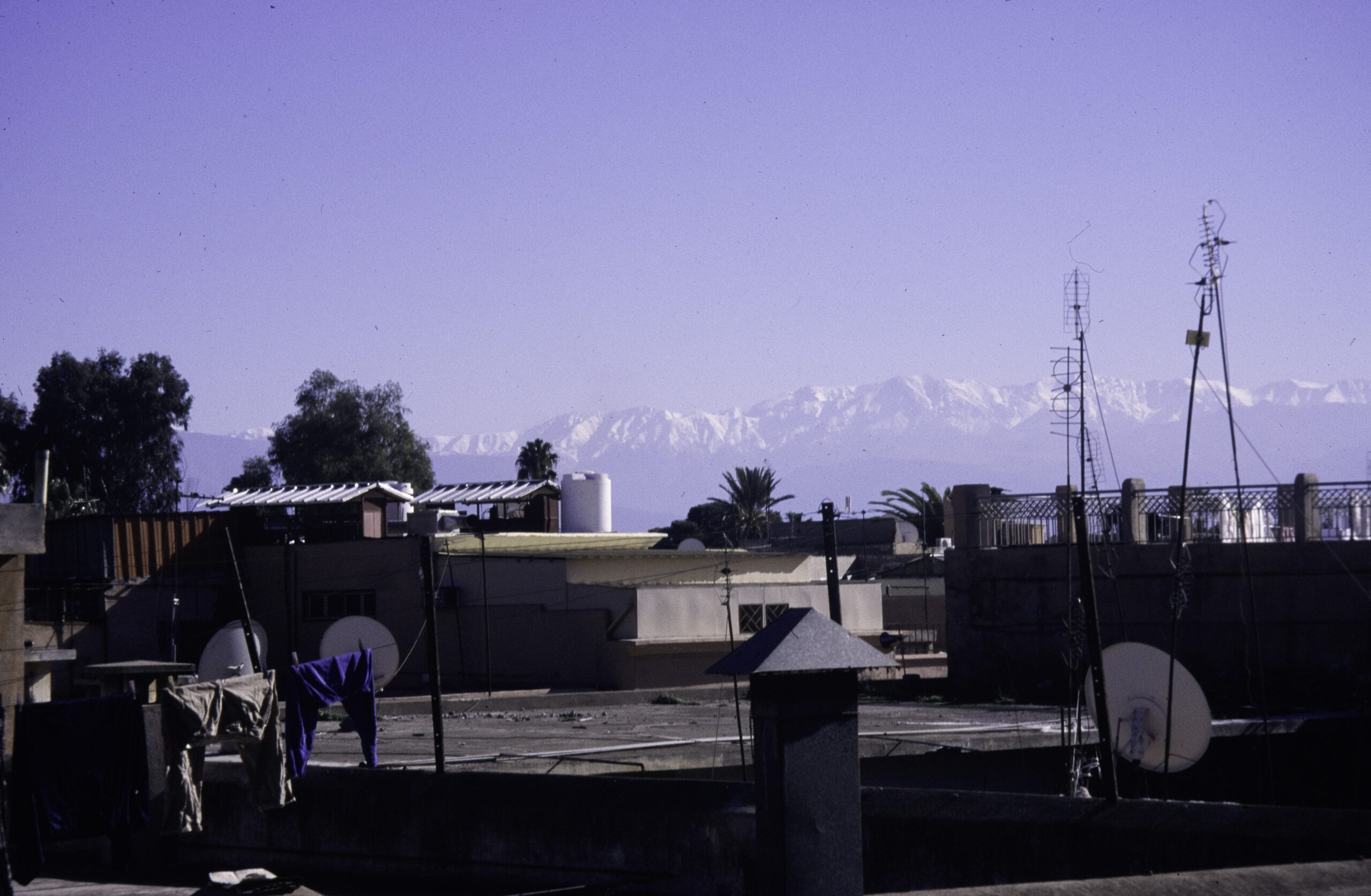 Snow-capped High Atlas Mountains seen across the rooftops of Marrakech.