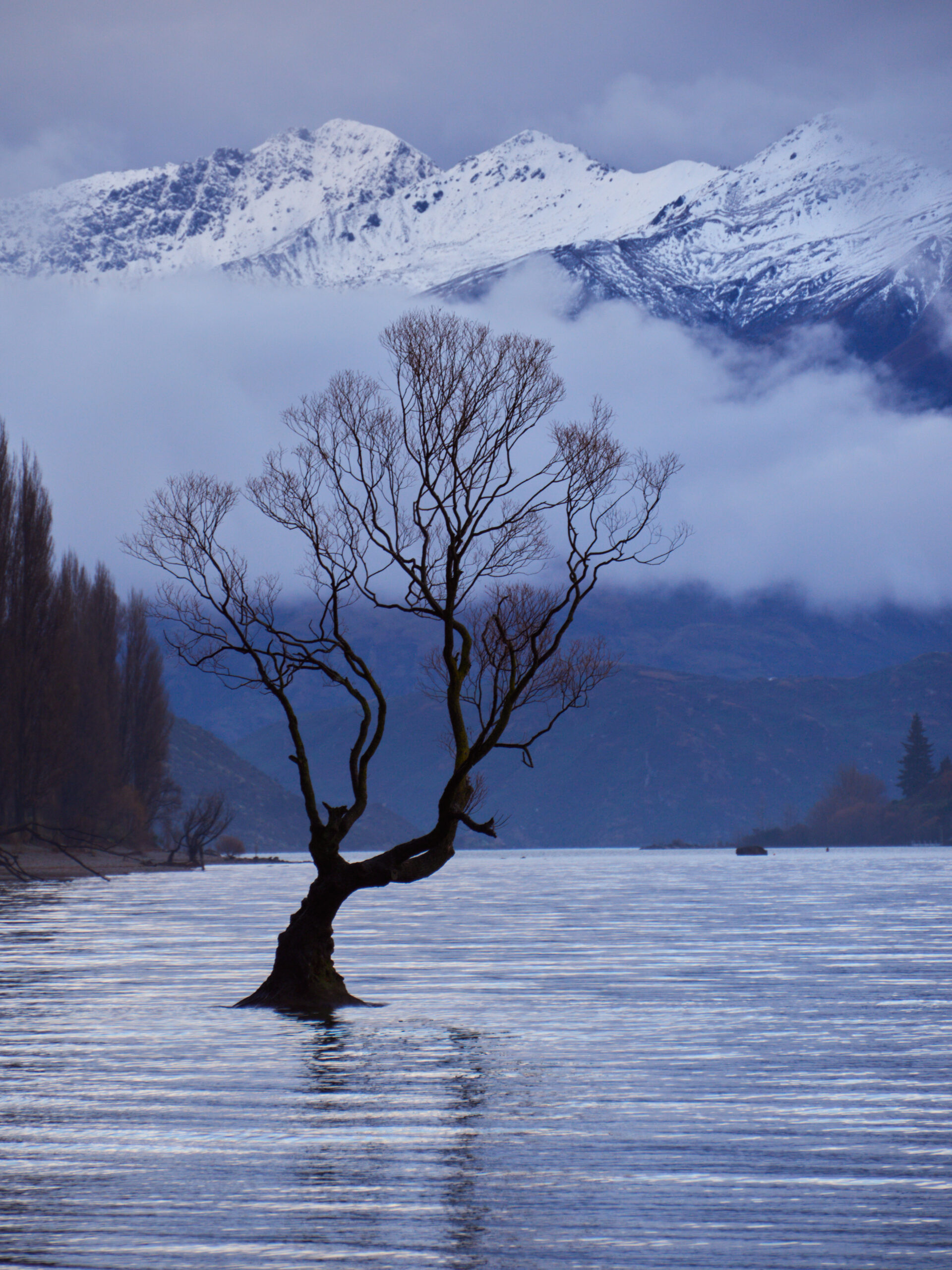 Wanaka New Zealand — That Wanaka Tree standing in Lake Wanaka