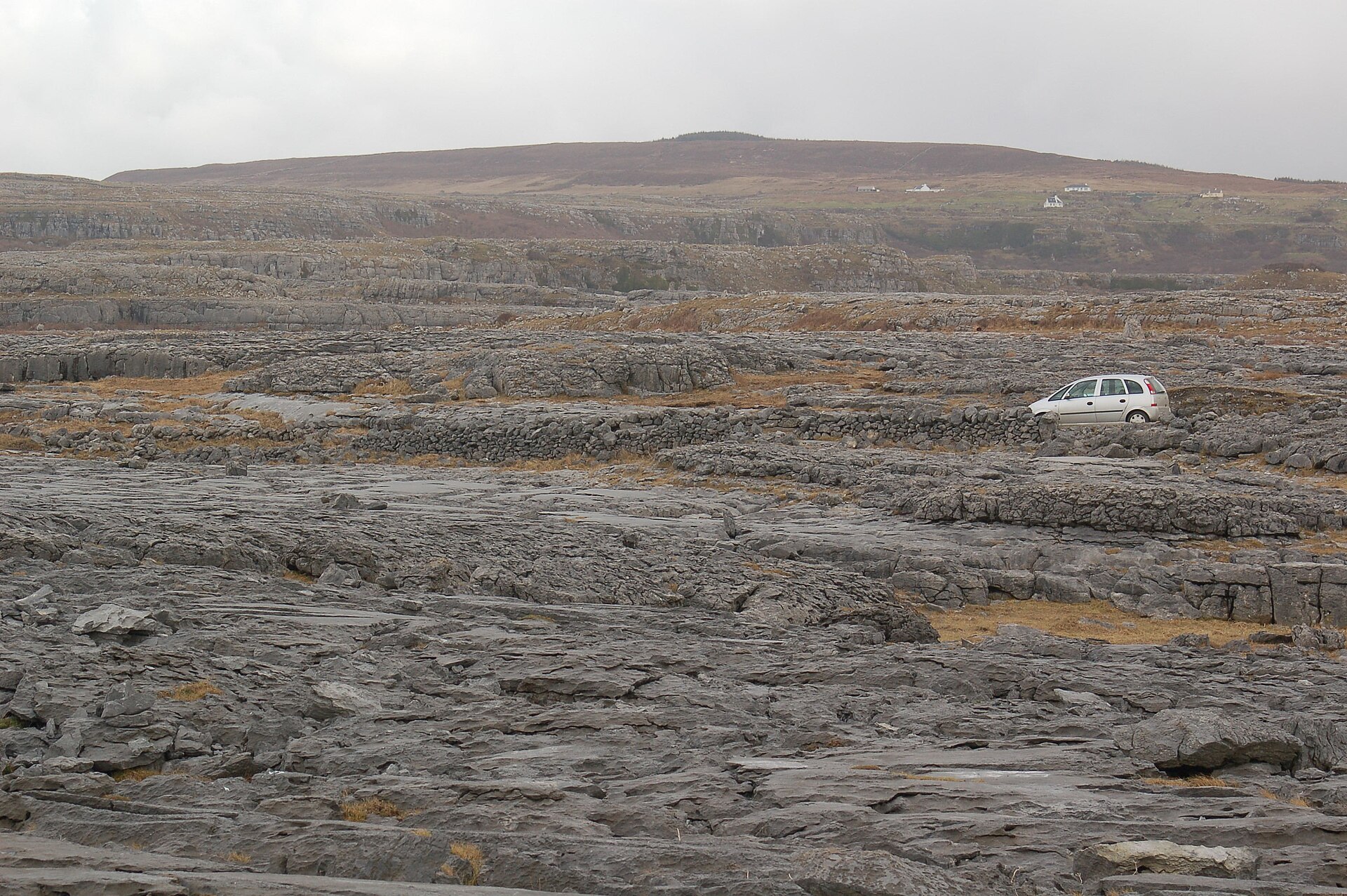 Limestone pavement in the Burren, County Clare