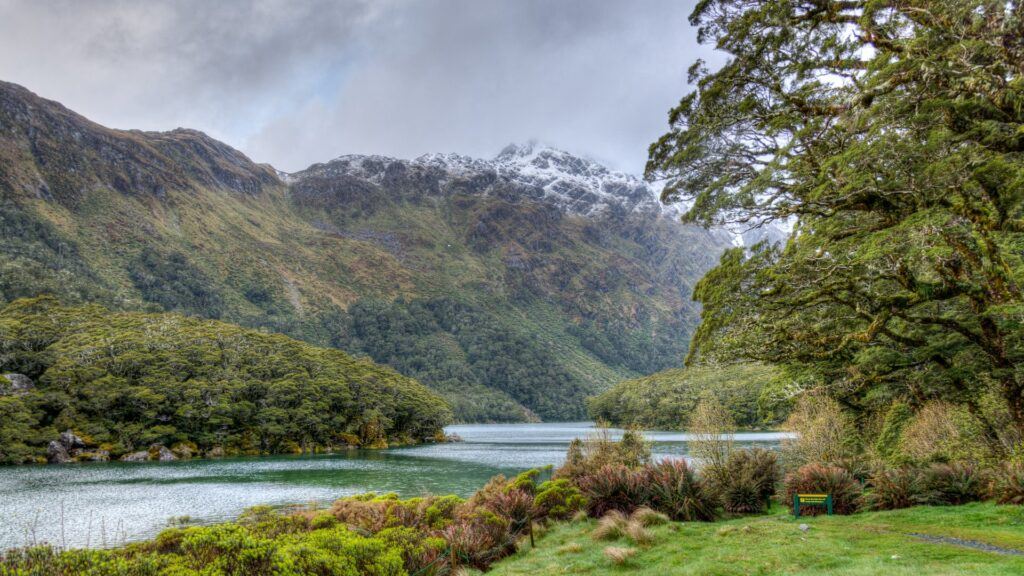 Lake Mackenzie on the Routeburn Track, Fiordland, New Zealand