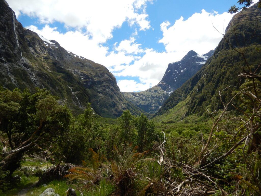 Lush Clinton Valley beneath Mackinnon Pass on the Milford Track