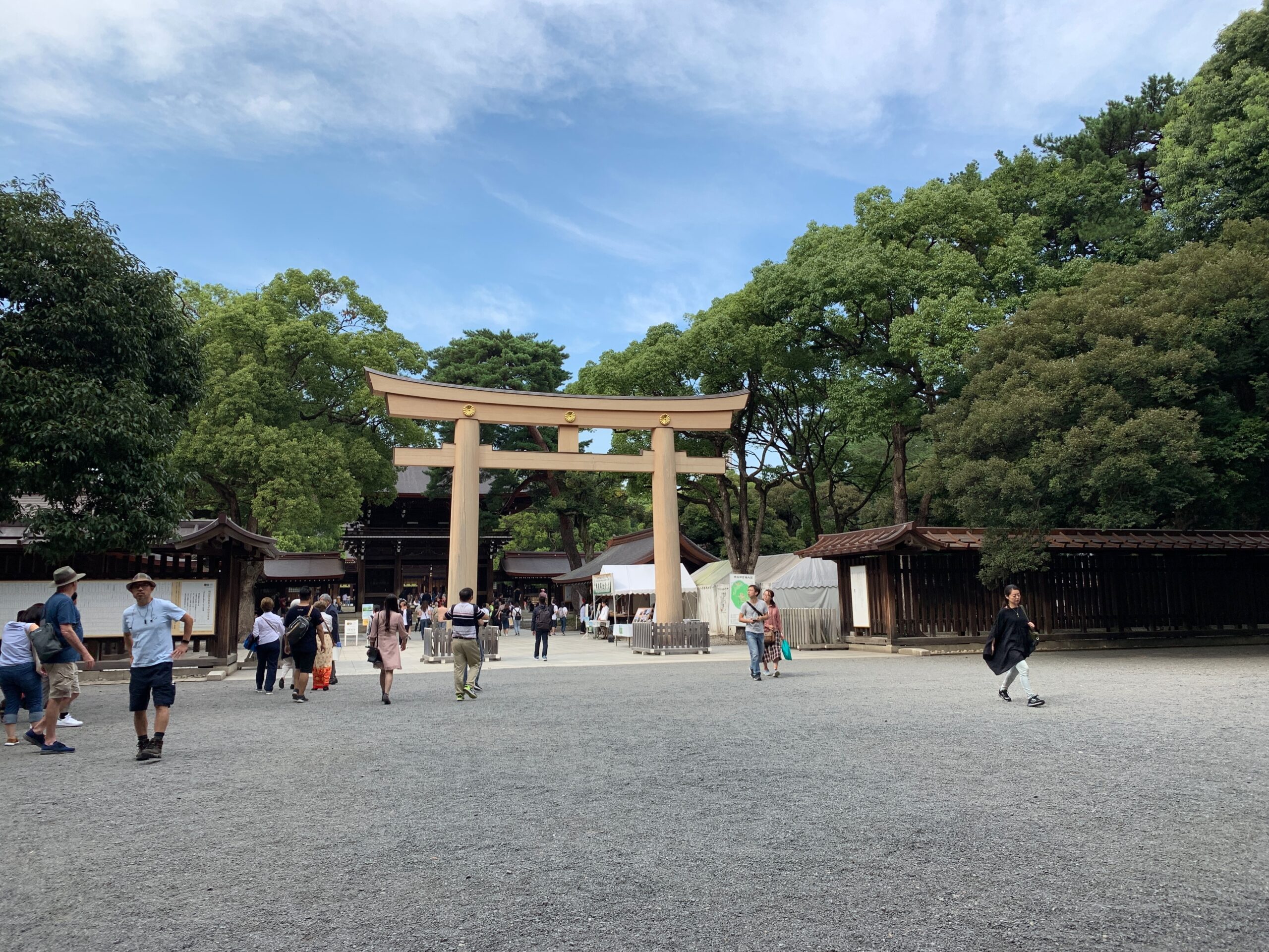 Tokyo Meiji Shrine wooden torii gate surrounded by forest