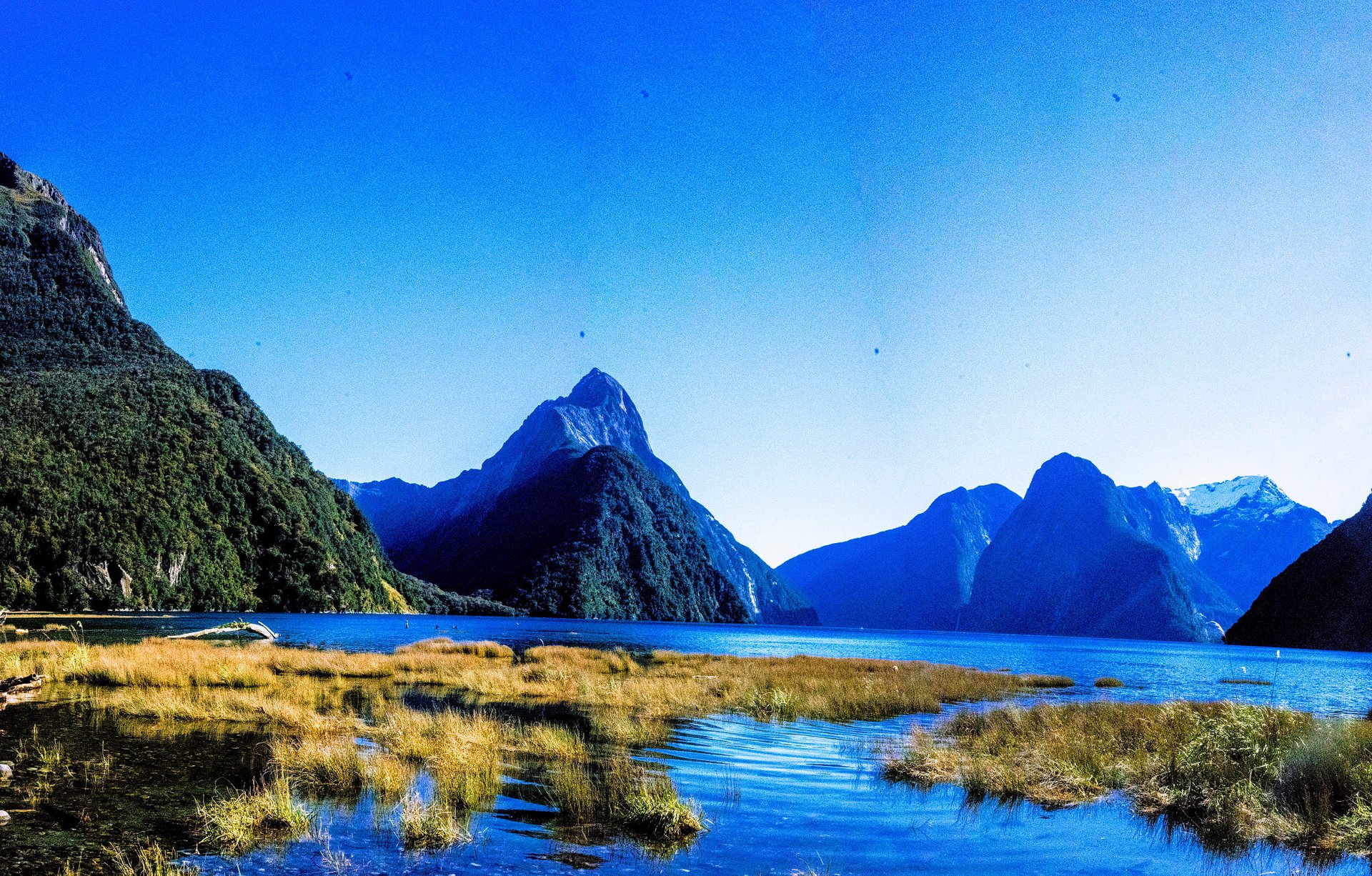 Mitre Peak rising above Milford Sound, Fiordland, New Zealand