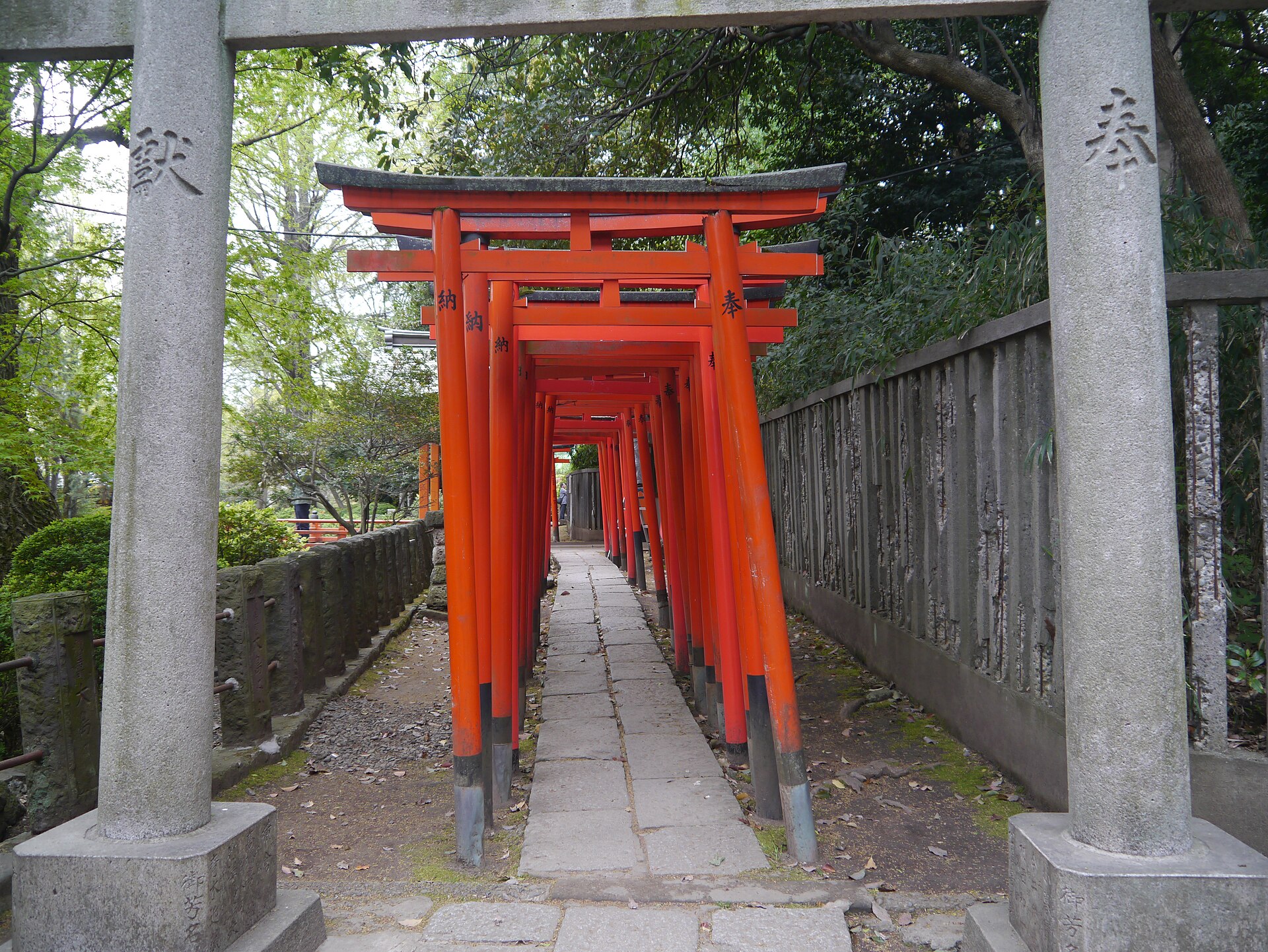 Vermilion torii gate corridor at Nezu Shrine in Tokyo