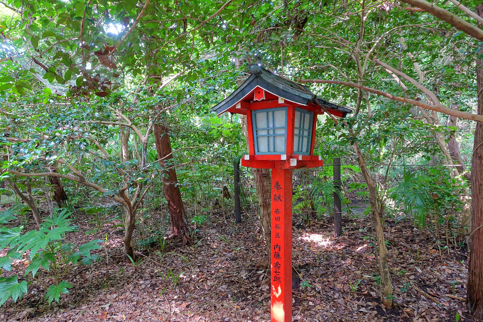 Wooded walking trail in Todoroki Valley, Tokyo